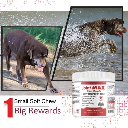 Vista 9 de PHS Joint Max Triple Strength (TS) Masticables suaves para perros, glucosamina, condroitina, MSM, cúrcuma, Omega 3, alivio del dolor de cadera