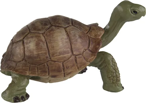 Vista 4 de Safari Ltd. Figura de tortuga gigante – Figura realista de 3 pulgadas – Juguete educativo para niños, niñas y niños a partir de 3 años
