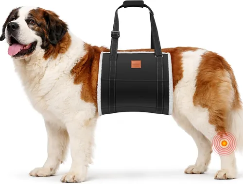 Vista 15 de LOOBANI - Arnés portátil para perros pequeños, soporte para patas traseras débiles Walking & Stair Assistance, Senior Dog Mobility, Padded