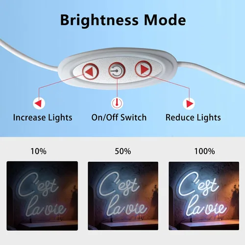Vista 3 de C'est la vie Letrero de neón LED – Luz de neón blanca con texto en inglés «That's Life», alimentada por USB, decoración de mesa de pared