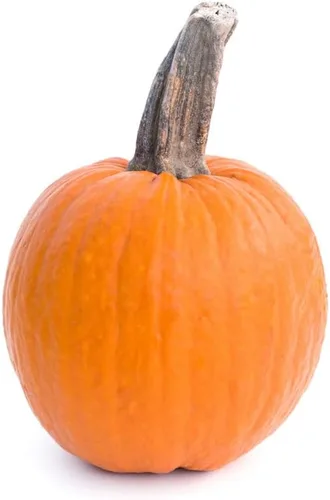 Vista 3 de Pastel de calabaza y azúcar (30 semillas)