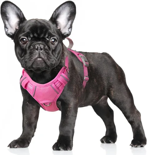 Vista 50 de BARKBAY Arnés para Perro Sin Tirones Talla Grande Arnés Reflectante para Perro con Clip Frontal y Asa de Control Fácil para Caminar Entrenar Correr