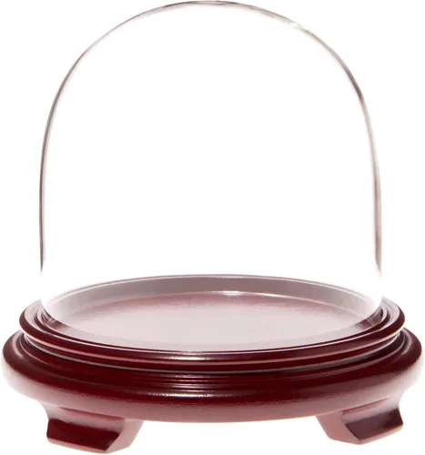 Vista 4 de Plymor Cúpula de cristal de 5.5 x 5.5 pulgadas (base con patas de chapa de madera negra)