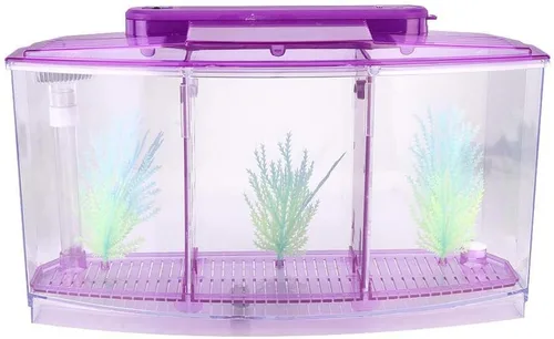 Vista 3 de Acuario pequeño de acrílico de tres áreas, mini pecera, para Betta para peces pequeños (morado)