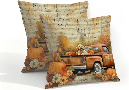 Vista 47 de Juego de 2 fundas de almohada impermeables para exteriores, 16 x 16 pulgadas, fundas de almohada decorativas de patio para muebles de jardín, sofá