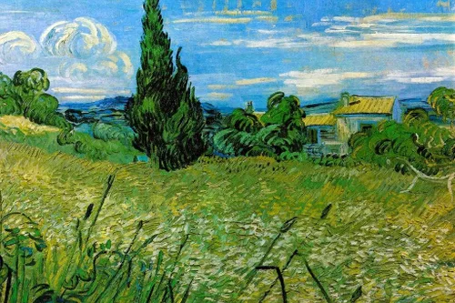 Vista 14 de Póster de “La noche estrellada” (1889) de Vincent Van Gogh, 18 x 12 pulgadas Ramas de flor de almendro 9897