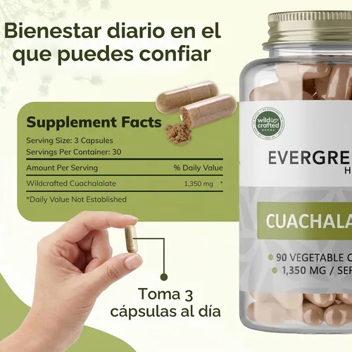 Vista 5 de Evergreen Herbs Cápsulas de cuachalalato – 90 cápsulas vegetales, 1350 mg por porción, suplemento herbario mexicano silvestre para soporte digestivo