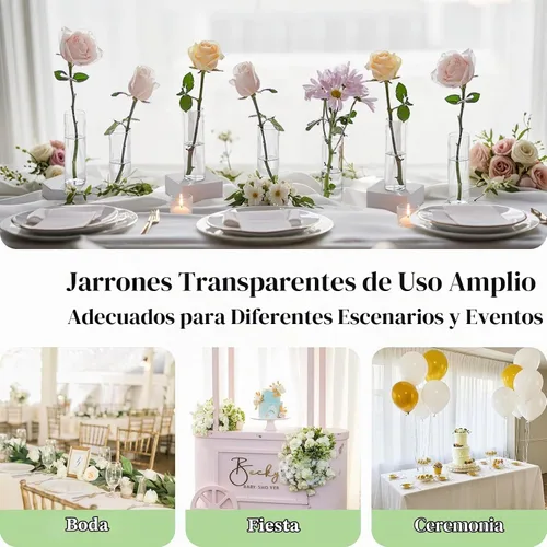 Vista 6 de Glasseam Pequeño florero de cristal: 12 jarrones cilíndricos para centros
