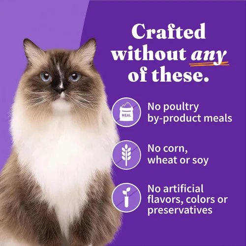 Vista 5 de Halo Paquete variado de comida húmeda para gatos, tres patés húmedos enlatados para gatos, pollo, pavo y pescado blanco, lata de 5.5 onzas