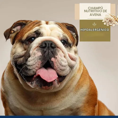 Vista 2 de Four Paws Magic Coat Professional Series Champú hipoalergénico nutritivo de avena para perros, lavado hidratante para perros para piel seca