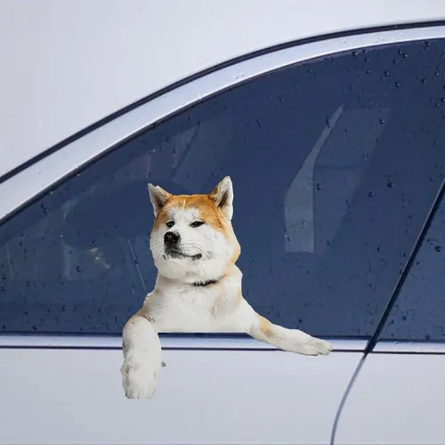 Vista 31 de Calcomanías de perro caniche, divertidas calcomanías de vinilo troqueladas para automóvil, laptop, parachoques Estilo-37
