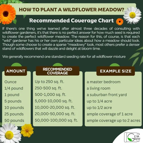 Vista 7 de Mezcla regional de semillas de flores silvestres de GevaGrow (Midwest Wildflowers Mini Shaker)