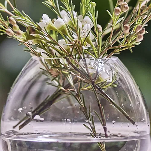 Vista 6 de CHIVE "George" - Jarrones de Botella de Cristal para Flores, juego de 6, pequeños y elegantes jarrones de cristal transparente para capullos