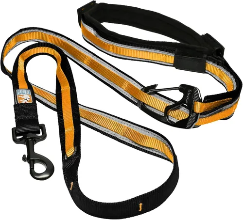 Vista 12 de Kurgo Correa cuántica de 6 en 1, correa para perros manos libres, cinturón para correr, estilo bandolera y cinturón de cintura, reflectante, clip