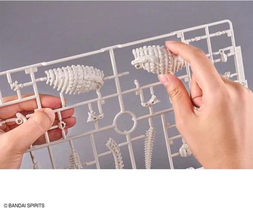 Vista 15 de Bandai Hobby - Plannosaurus - Kit de modelo de dinosaurio anquilosaurio #06