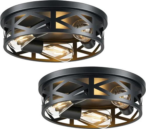 Vista 10 de VONLUCE Lámparas de techo de montaje empotrado, lámparas de techo de 2 luces para pasillo, lámparas de techo de jaula de metal de 11 pulgadas
