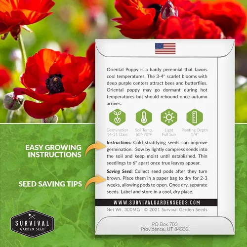 Vista 2 de Survival Garden Seeds Paquete de 1 amapola oriental para plantar, paquete de semillas con instrucciones para cultivar Papaver Orientale en tu hogar
