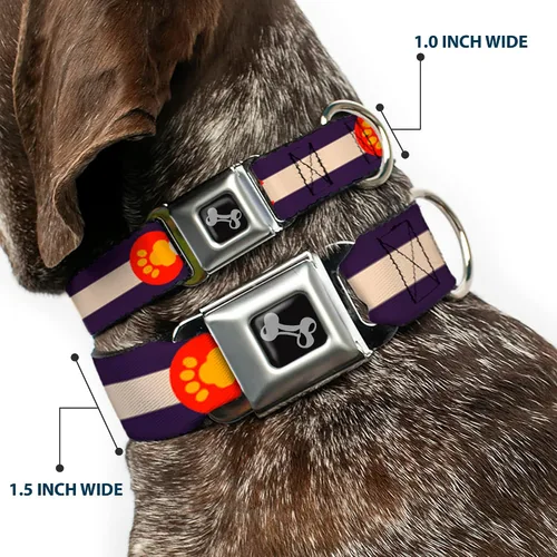 Vista 2 de Buckle-Down - Collar de perro con diseño de bandera de Colorado (13.0 – 18.0 in)