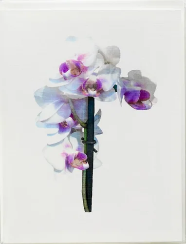 Vista 3 de Orchid - Tarjetas fotográficas de lino pesado, 8 con 10 sobres a juego, juego en caja (4.25 x 5.50 pulgadas) en blanco en el interior, fabricado