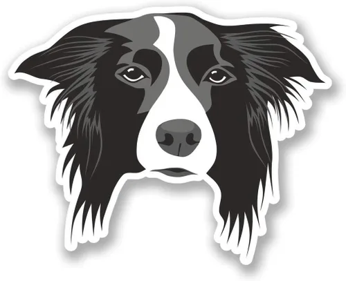 Vista 2 de Border Collie - Calcomanías de vinilo impermeables para álbumes de recortes, para botella de agua, laptop y funda de teléfono, paquete de 50