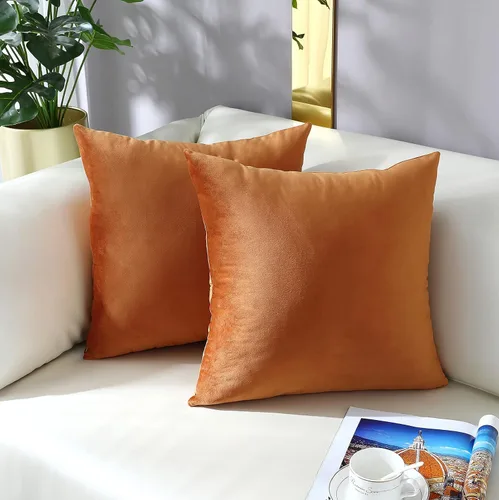 Vista 49 de mixeoo Comfy - Juego de 2 fundas de almohada decorativas de terciopelo grueso sólido y grueso, súper suaves, decoración del hogar para sofá, sala