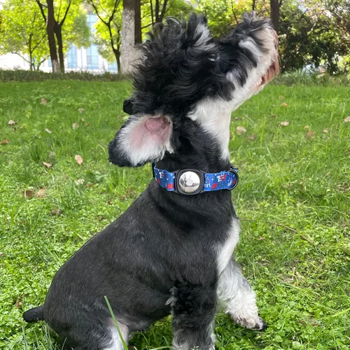 Vista 5 de Collar de perro para el 4 de julio, soporte para Airtag de Apple, collares de perro rojos, blancos y azules para perros pequeños, medianos y grandes