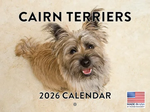 Vista 120 de Calendario mensual de pared Airedale Terrier Dog 2027 rojo (Airedale Terrier)