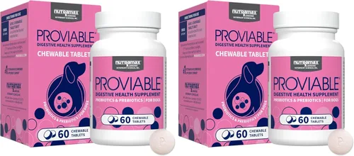 Vista 12 de Nutramax Probióticos Proviable para perros, Suplemento diario de salud digestiva con múltiples cepas de bacterias, probióticos para perros más