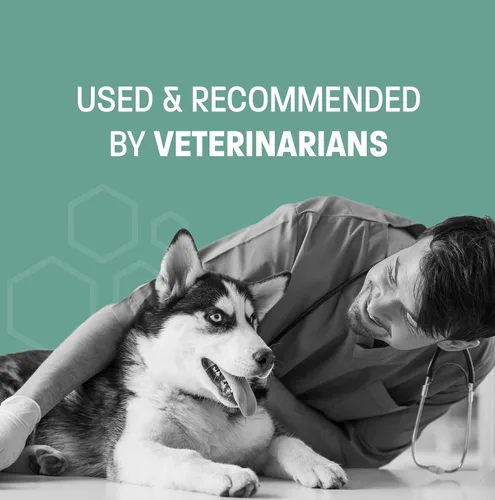 Vista 7 de Masticables calmantes de cáñamo para la ansiedad de los perros – Golosinas de cáñamo para perros para calmar – Masticables suaves para el estrés