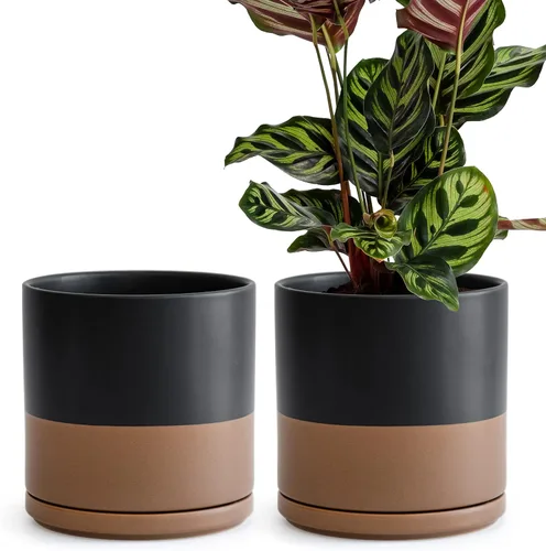 Vista 45 de D'vine Dev - Juego de 2 macetas de plantas de 3.5 pulgadas, maceta de cerámica para plantas con agujero de drenaje y platillo, negra, 94-V-A-2
