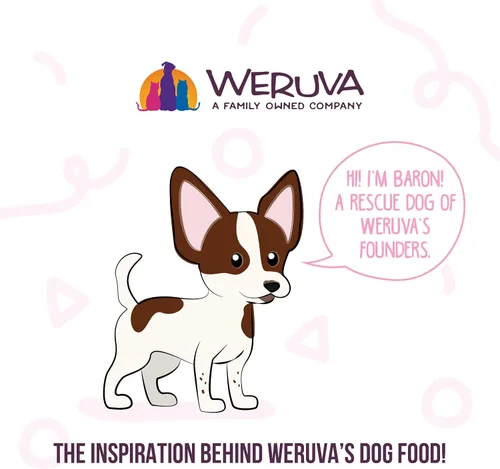 Vista 8 de Weruva Meals 'n More Alimento Húmedo Natural para Perros, Sopa de Pollo de la Abuela Más Apoyo Digestivo, Taza de 3.5oz (Paquete de 12)