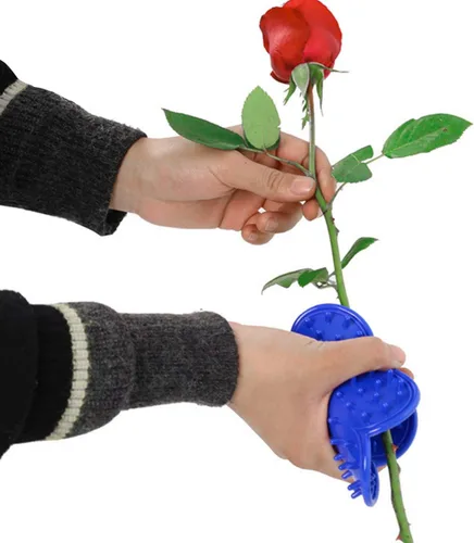Vista 3 de LuFOX Kit de herramientas para quitar espinas, 4 piezas, herramienta para pelar espinas y hojas y guante de jardín