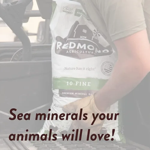 Vista 4 de REDMOND 10 sales minerales naturales finas para ganado, con certificación OMRI, bolsa de 5 libras