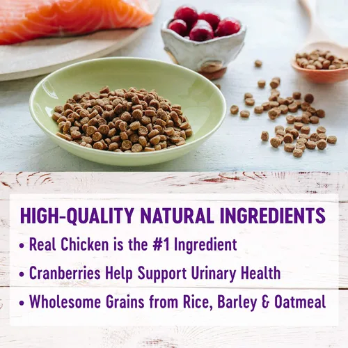 Vista 3 de Wellness Complete Health - Alimento seco natural para gatos, receta de harina de pollo y pollo, paquete de bolsa de 5 libras, golosinas naturales
