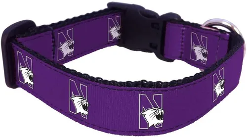 Vista 4 de Collar de Perro Universitario (Pequeño, Fuerza Aérea)