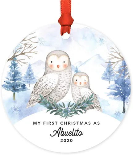 Vista 59 de Andaz Press Adorno redondo de recuerdo de Navidad, nuestro 10 aniversario 2025, búhos de nieve de invierno en acuarela, 1 paquete, incluye cinta