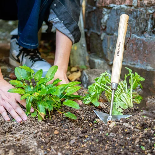 Vista 6 de Azada de mano triangular, azadas de jardín con alas de 15.2 pulgadas con mango de madera corto, azada Warren de acero inoxidable para jardinero