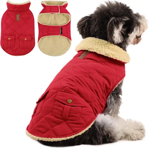 Vista 26 de Queenmore - Abrigo de invierno impermeable para perro, chaqueta acolchada Negro