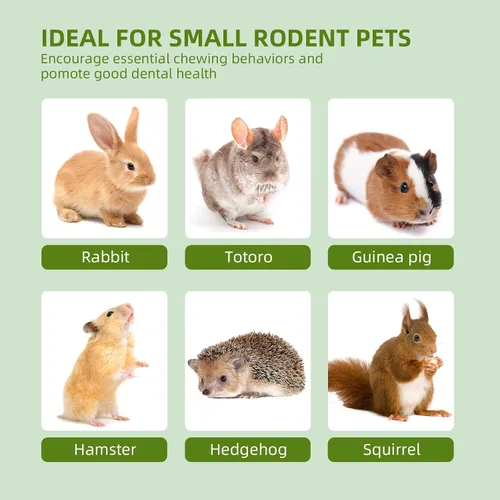 Vista 6 de Juguetes masticables de conejo, juguetes para conejillos de indias y hámsters, juego de palos y bolas naturales para masticar para animales 32 Piezas