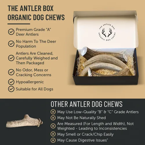 Vista 5 de The Antler Box - Masticables prémium para perros con cuernos de ciervo (paquete a granel de 1 libra) (pequeño de 7 a 8 cuernos/libra)
