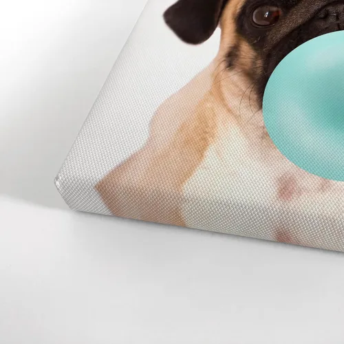 Vista 3 de Smile Art Design Lindo cachorro carlino animal goma de mascar arte verde azulado lienzo impresión foto arte de pared decoración del hogar, arte pop