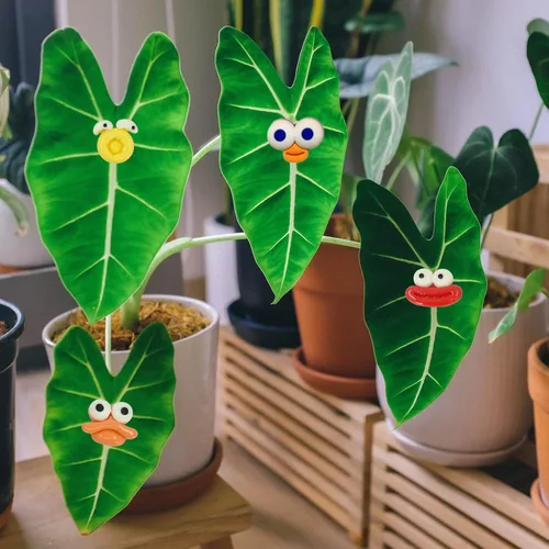 Vista 2 de Imanes de plantas, Googly Eyes imanes de plantas para plantas en maceta, dijes de plantas para regalos de plantas, juego de 7