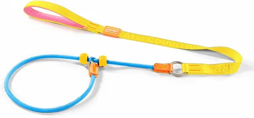 Vista 18 de HowGo Correa antideslizante para perro con 2 tapones con resorte