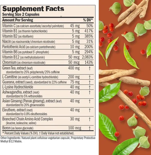 Vista 2 de ANDREW LESSMAN ProCaps Energy & Fat Metabolism Factors 60 Cápsulas