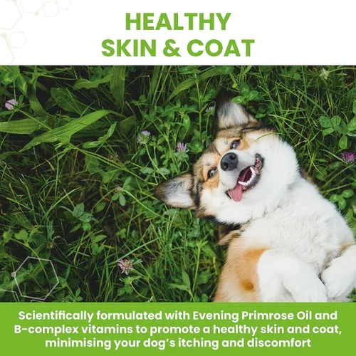 Vista 4 de Vetzyme Piel seca de perro con onagra