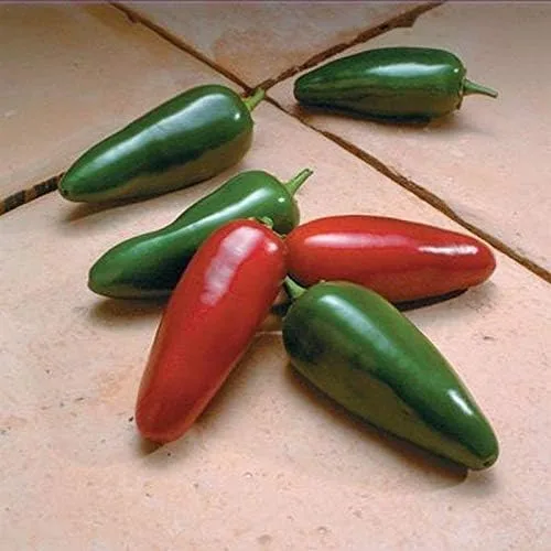 Vista 2 de El Jefe Hybrid - Semillas de pimiento Jalapeño picante - Muy Fruta (10 - Semillas)