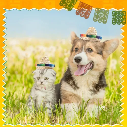 Vista 3 de Haysandy 18 piezas de mini sombrero, sombrero de paja para fiesta, sombrero mexicano, decoraciones de fiesta de carnaval para mascotas, niños
