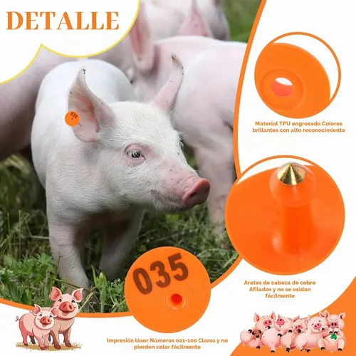 Vista 2 de 100PCS Ganado Etiquetas de oído para oveja, cabra, ganado, cerdo Naranja