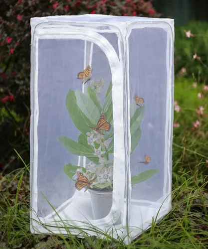 Vista 8 de Hábitat de mariposa monarca de alta resistencia de 30 pulgadas, jaula de malla para insectos plegable al aire libre con protección de cremallera