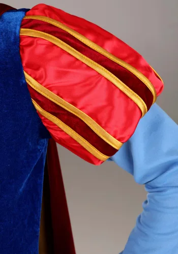 Vista 3 de Disfraz de Príncipe Felipe de La Bella Durmiente de Disney para Niños Multicolor